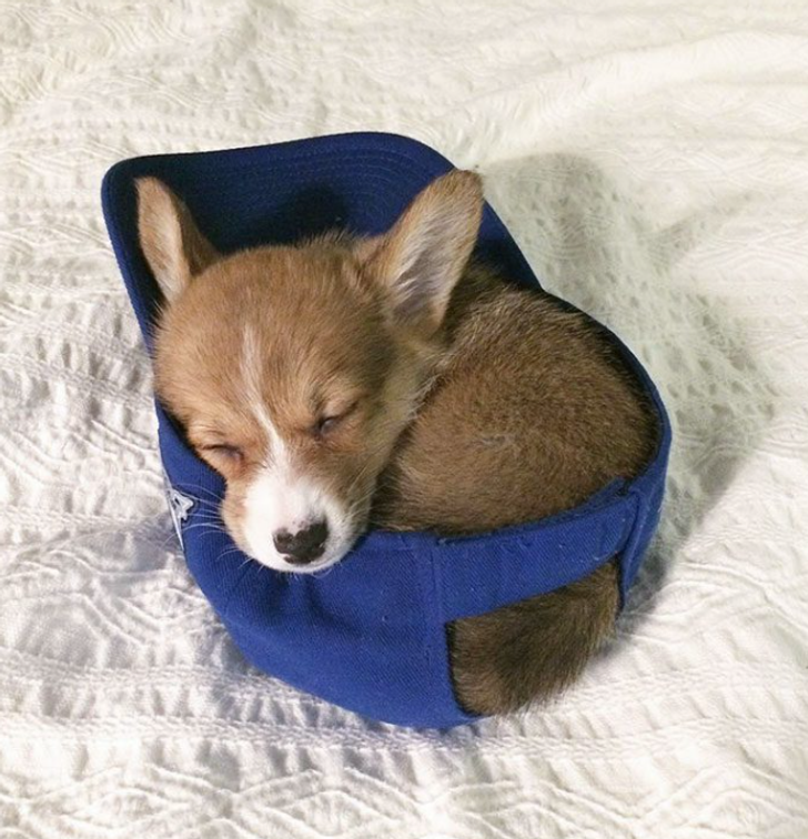 9b9dda558fa652cf4c99bd929c