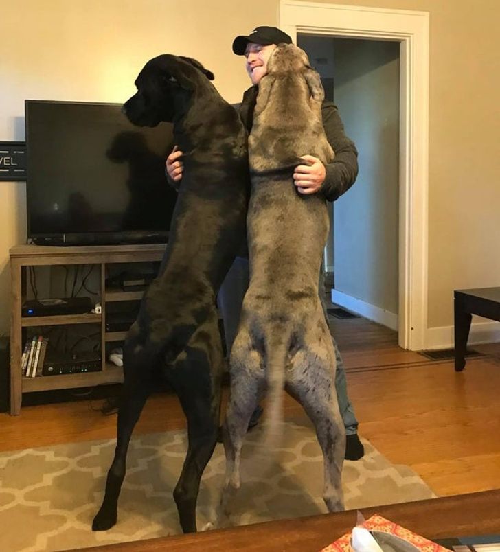 9badf955d19aeb0ac9b8ad9cbe