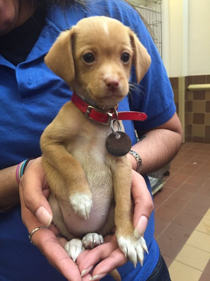 9baeca545da4cd15fc59ddc454