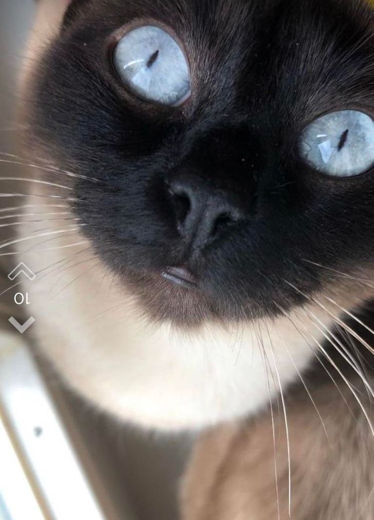 9bb1d65782b0a6fe2da272ac93