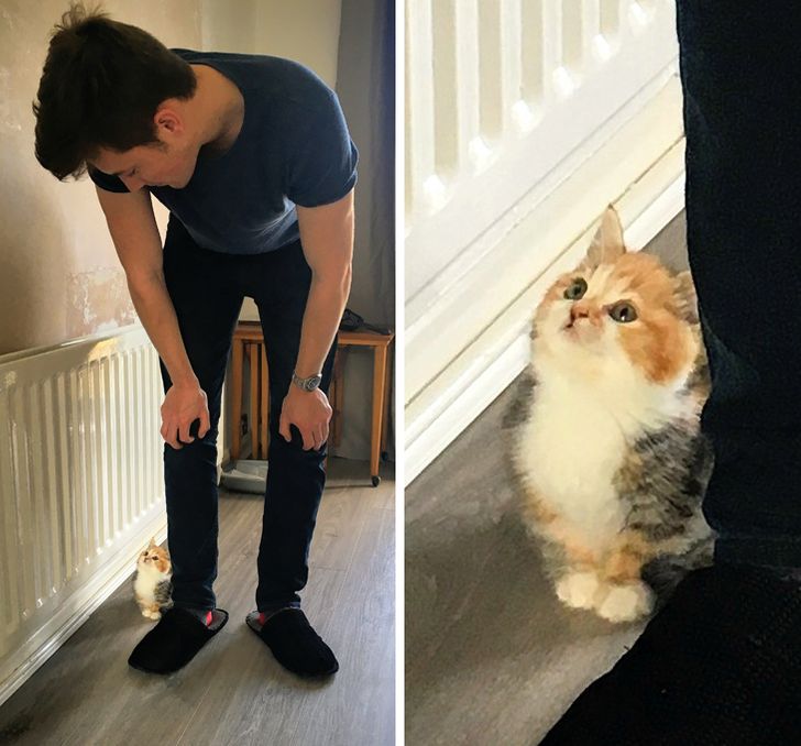 9bb65c59bfbe6f0a2843997349