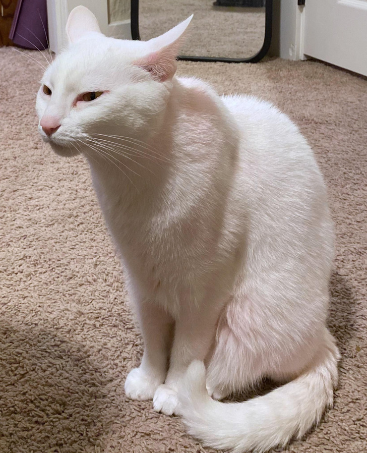 9bbb675bcbbd0ea063c5cb6f99