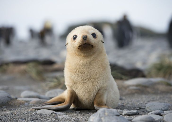 9bbea55ed4a5035ca276766ecc