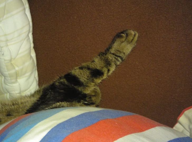 9bbf7c5759b1599534f7e6b91f