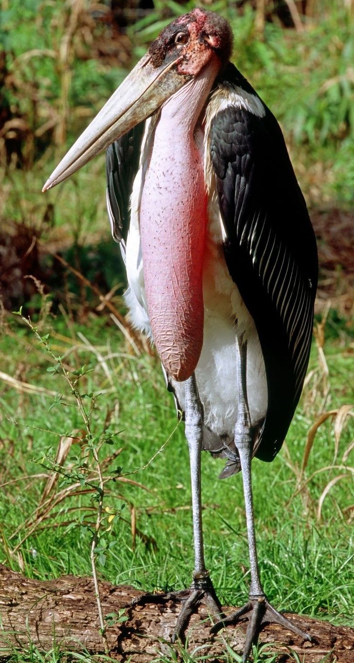 9bc14d5b55b4a75d8531e1bd80