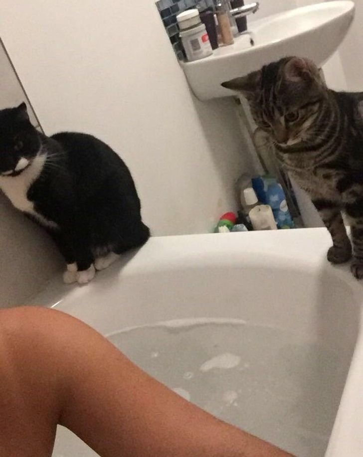 9bc42a55e58492468d43a48188