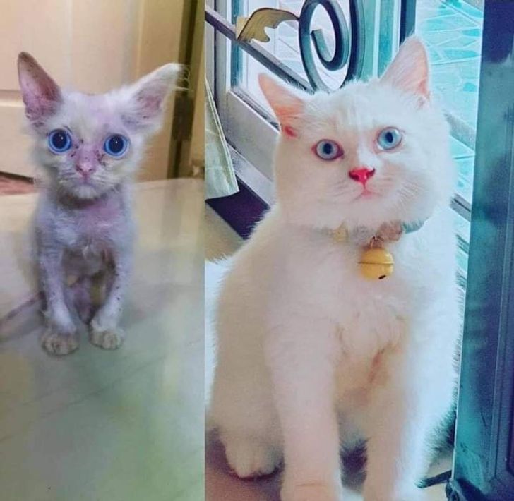 9bc6bb5027afd4986ff93c73d8