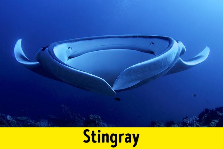 9bc7b55805a6d5b2339b3c6a74