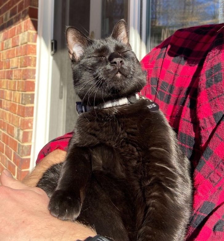 9bcb0e547799a7515dad27d654