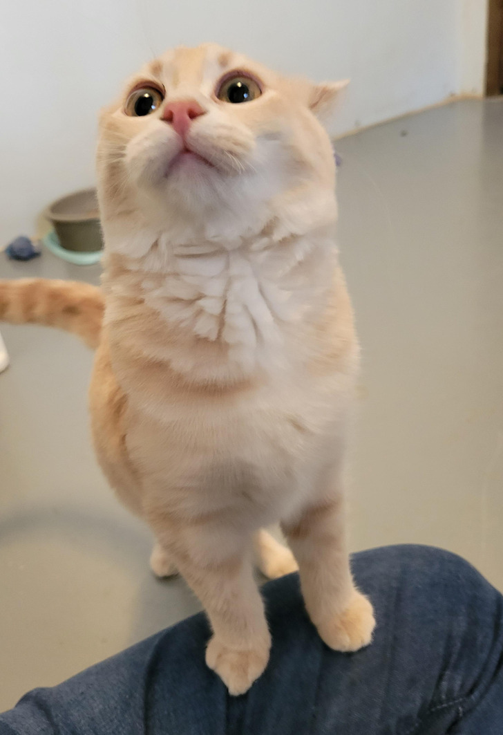 9bce26549d8ff2624a38072830