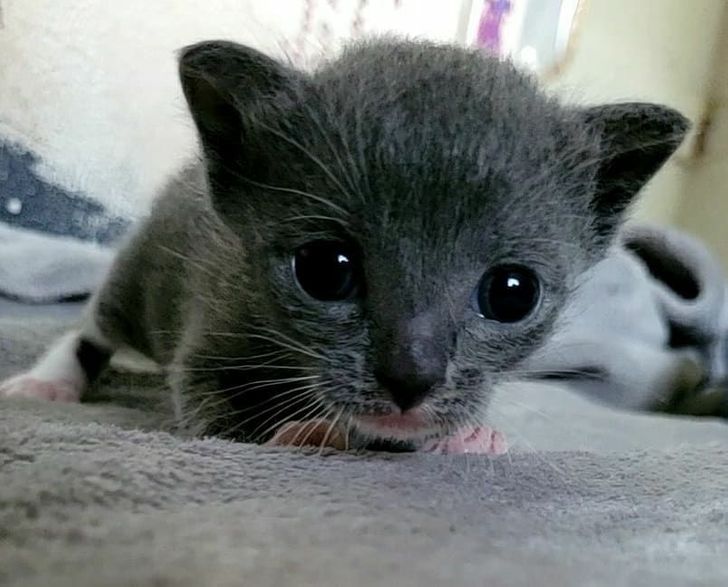 9bcf975cc4ab3d08489ca38fdc