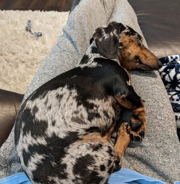 9bd8f259dc96ee0e9102080d6d