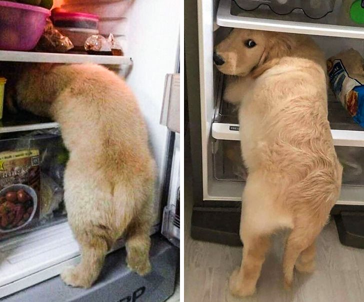 9be30b5d71afe9895c82eea473