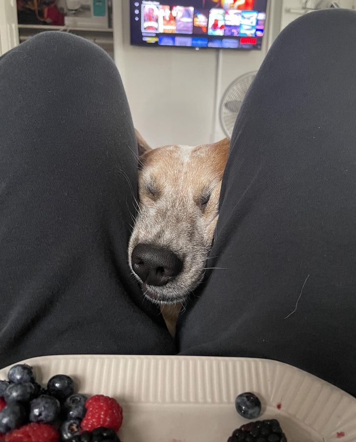 9bf06656c0b4737a5dd2c1a6e3