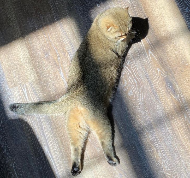 9bf7595f73a0b8a03ca8d5abb5 9bf7595f73a0b8a03ca8d5abb5