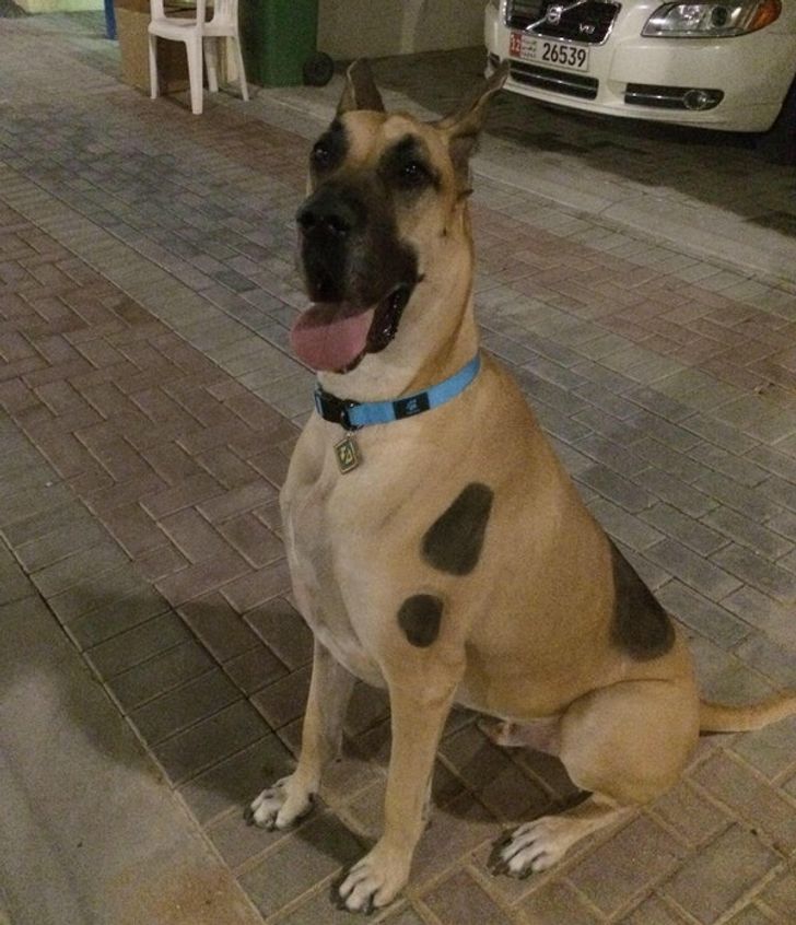 9bfce15f1b9fc8c1e656dc4218