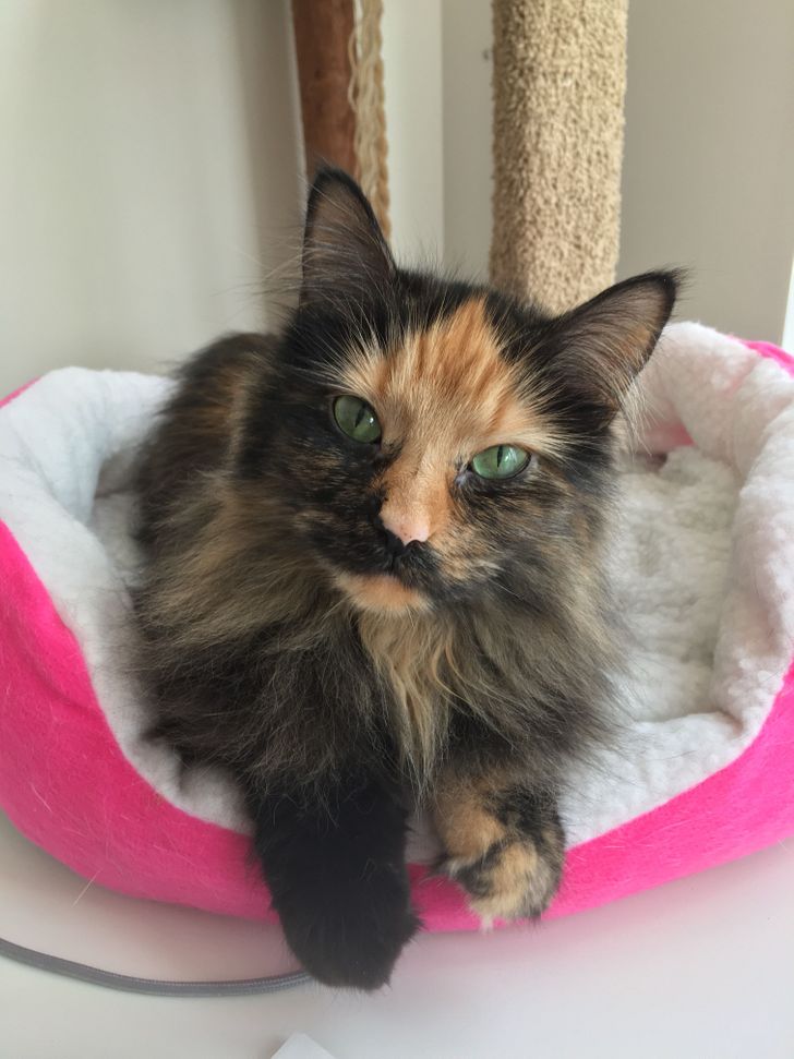 9c07a159dab09c049ebb3a4e68