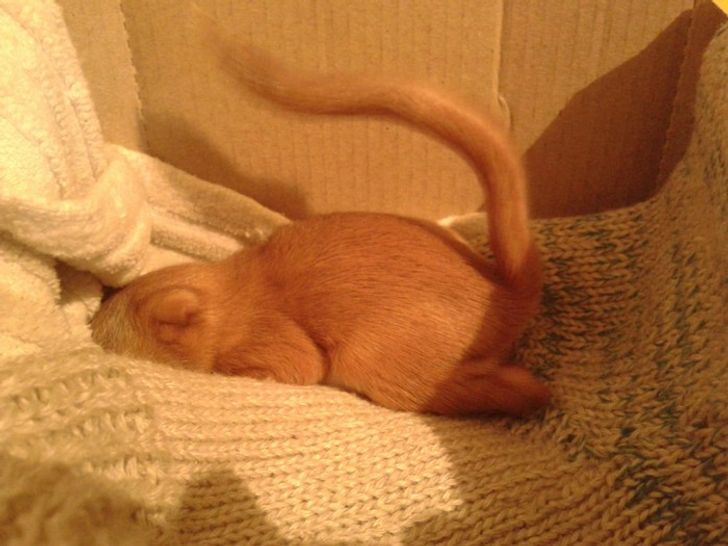 9c1377561ea66ddca7021030d7