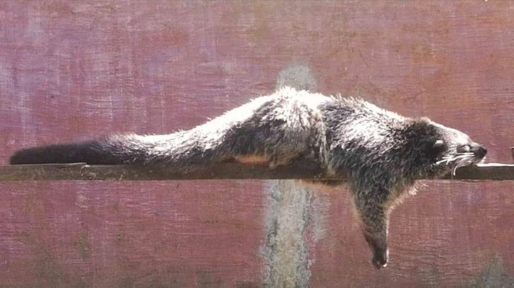 9c13865045a0c3eae2a54ef142