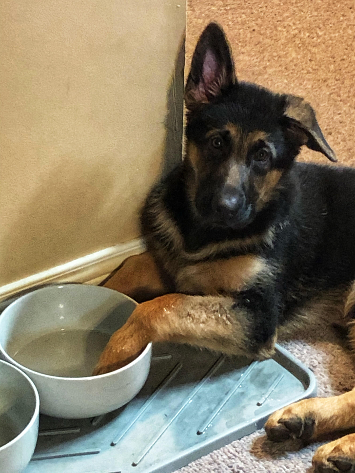 9c15a45ec293d254a84861266c