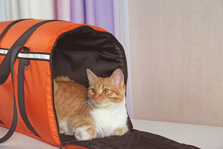 9c161d559ea6a613c362fc5175