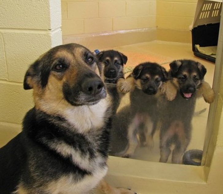 9c2c055c0a8c36536184f556f4