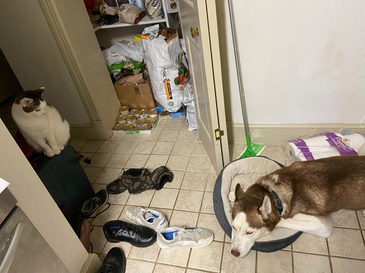 9c2ce35fa5b6164bb54aea6e3b