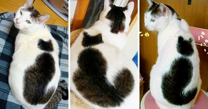 9c355b565dae3c1da37182ccde