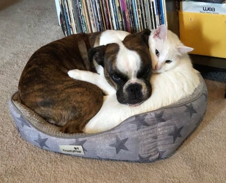 9c36b85fa5ba41971c3586c82e