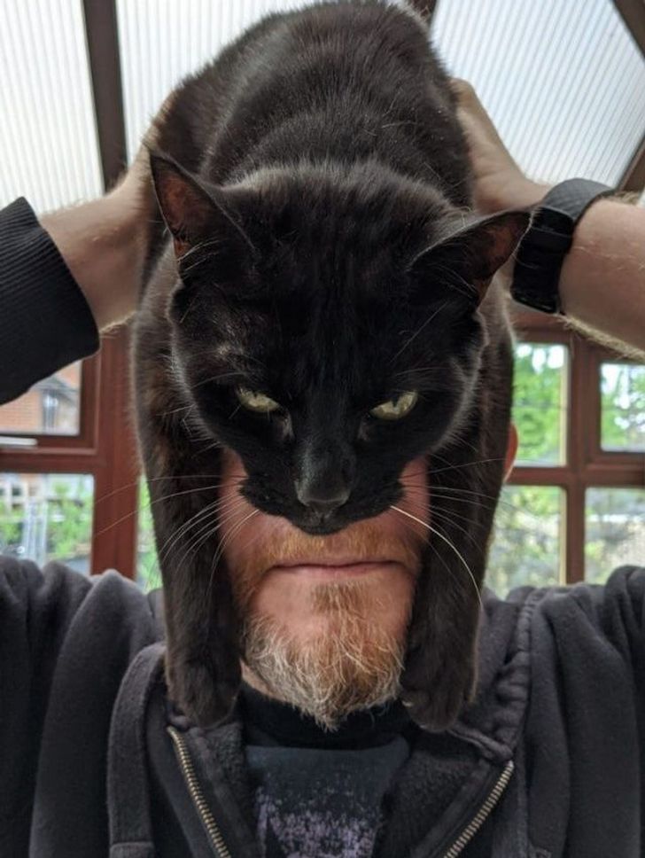 9c3dc45f17ae505ea9693ab735