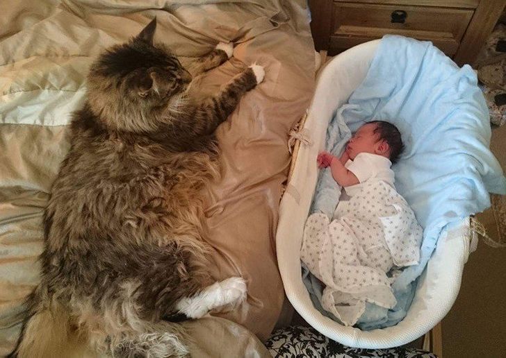 9c3e255da28ec5aa203f2f9bfe 9c3e255da28ec5aa203f2f9bfe