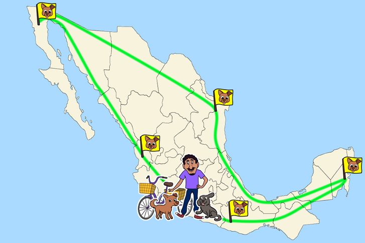 9c3f445719b308b580c58a256e