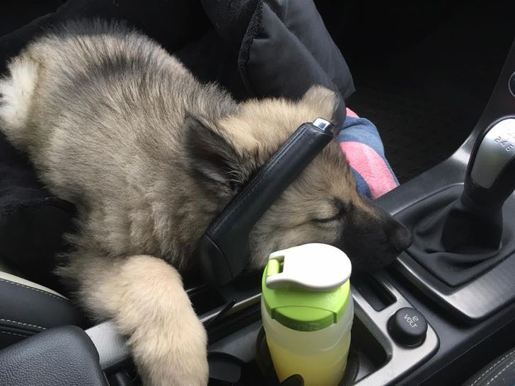 9c3f725e889c685f585711c53f