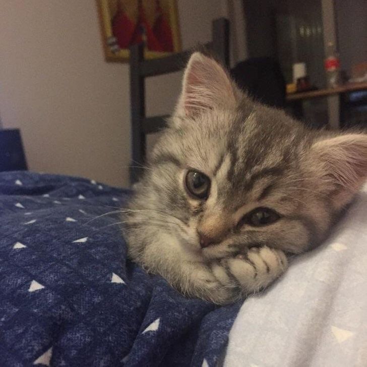 9c46995145b8affef6bb62872b