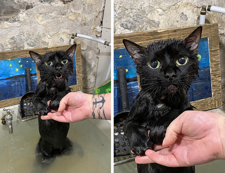 9c49b15e95a380bc039e665607