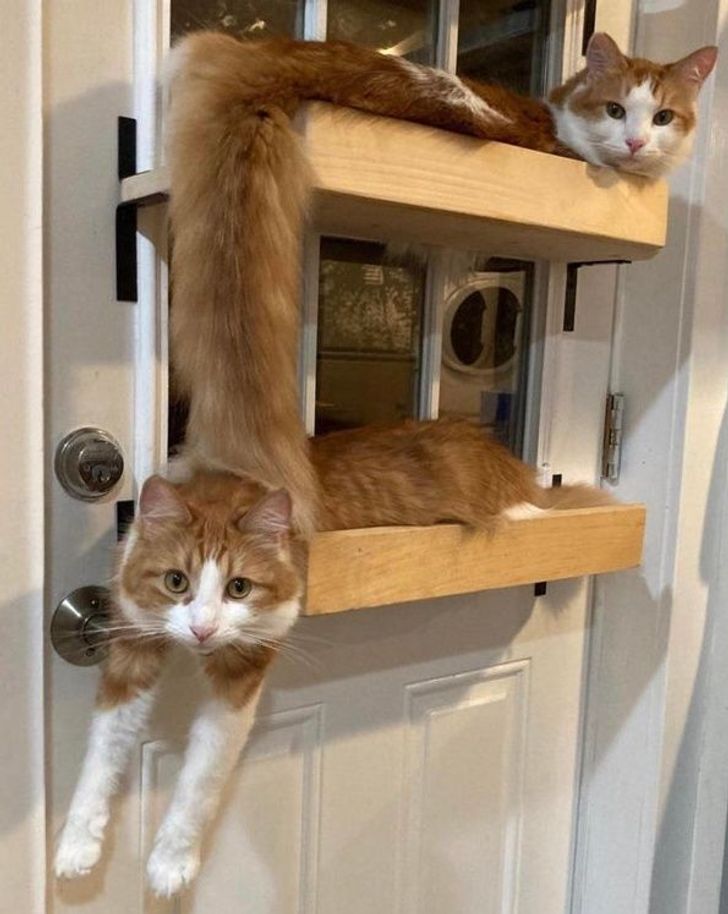 9c4a035570b6124853c657776c