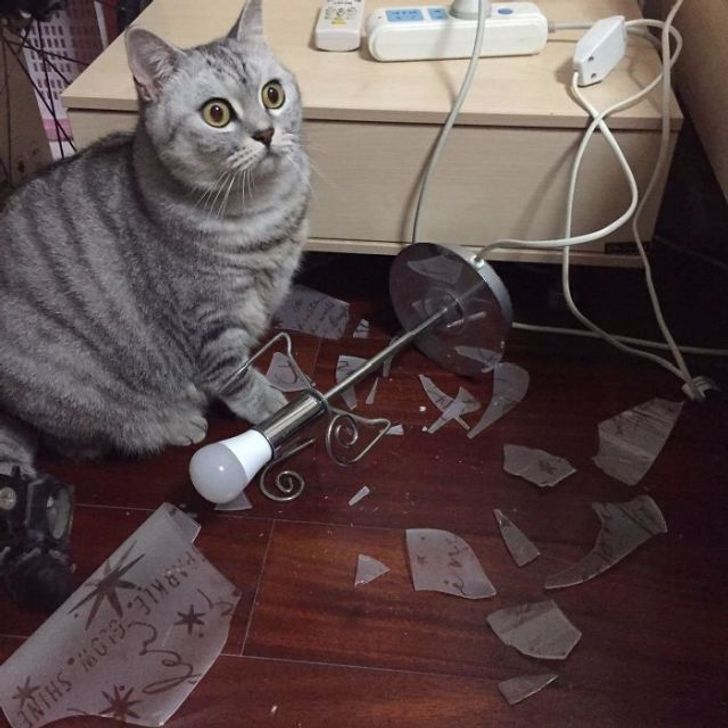 9c4a265d908f27fcc123f0a1a1