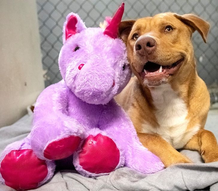 9c522651228758350c0f42aca7