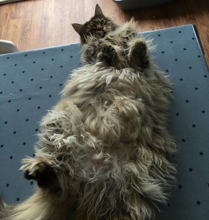 9c552e582da7f3e0f3c9f3d00a