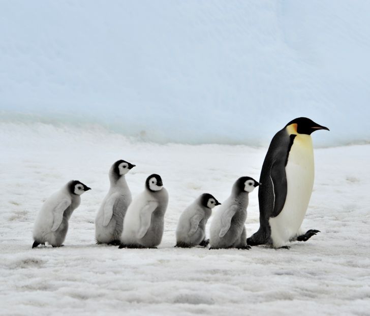 9c5d8a5d8bb673312216d4ab2d