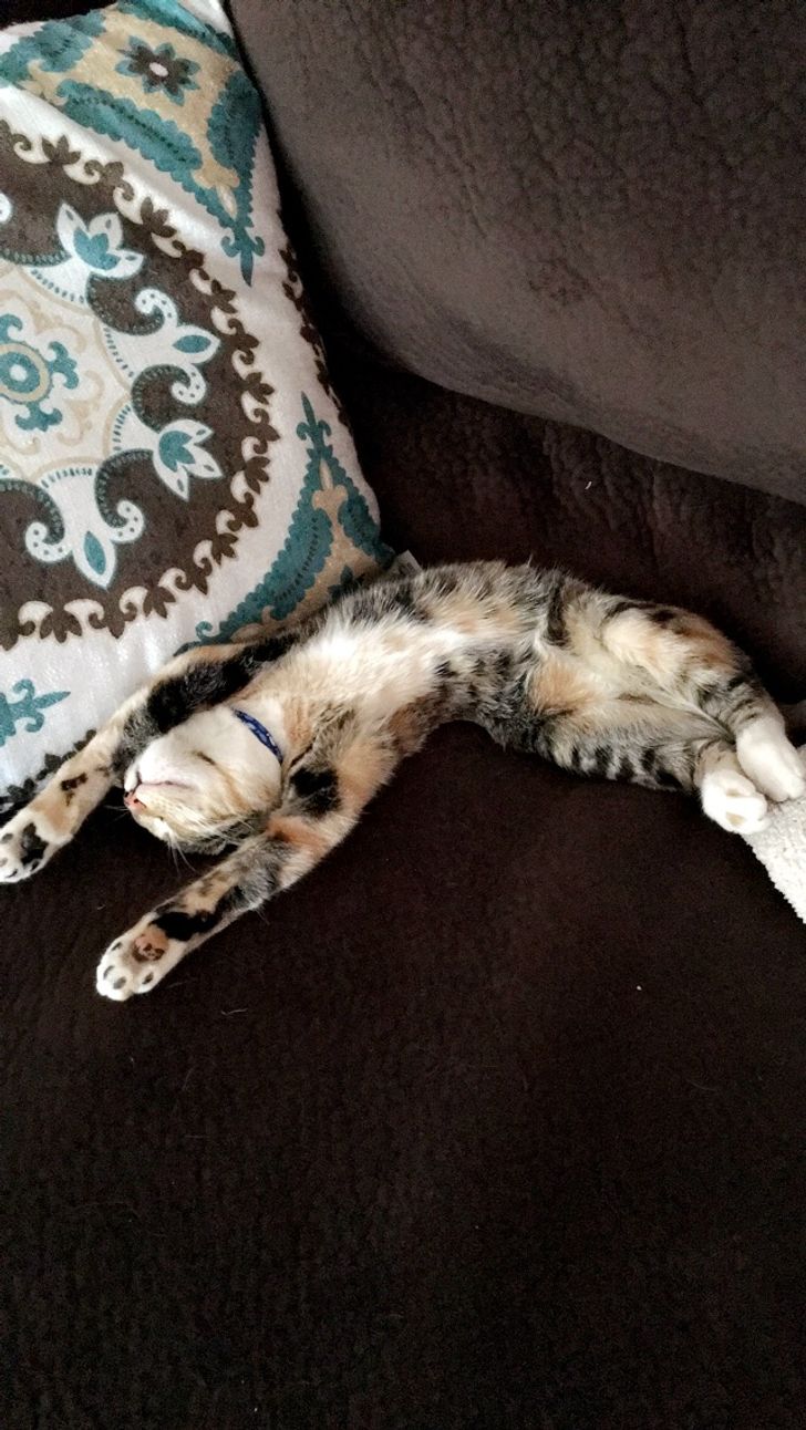 9c6c125aba97d4042762b291a8