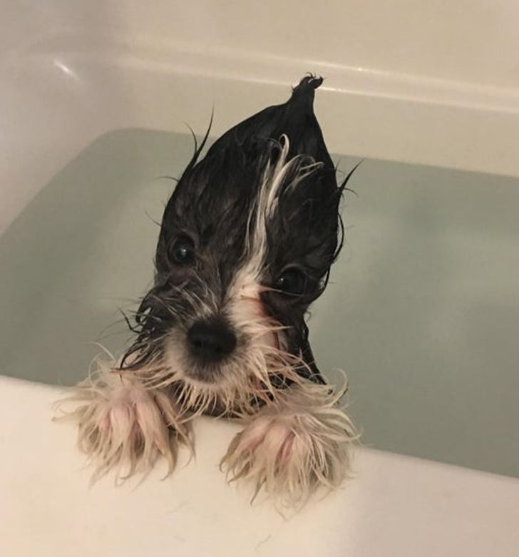 9c6cbd5e4fa8c12f651d55be0e