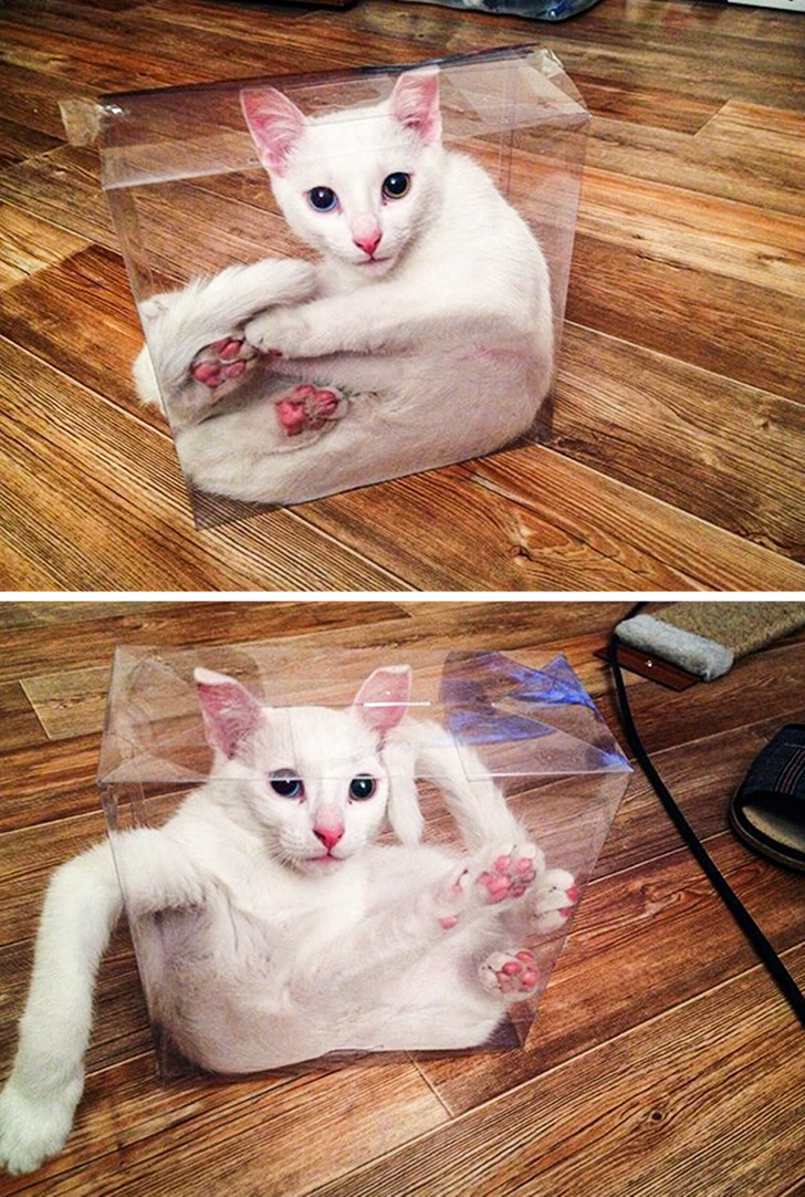 9c71c759a7b8f3bf0456520d13-1