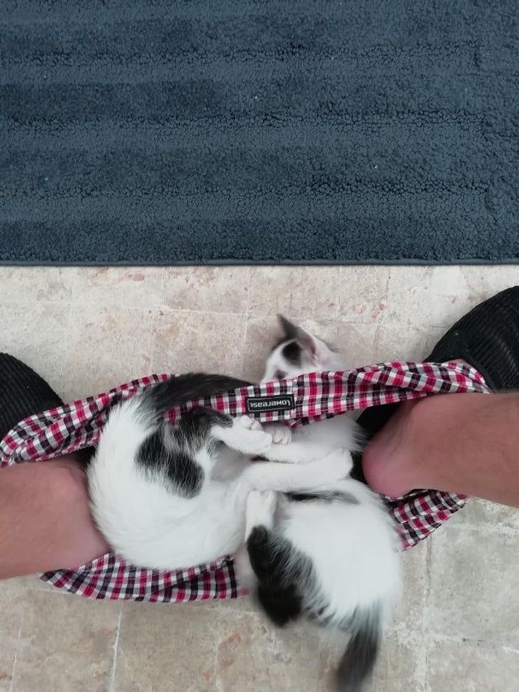 9c72725d73ae2d76f2e9559bbe