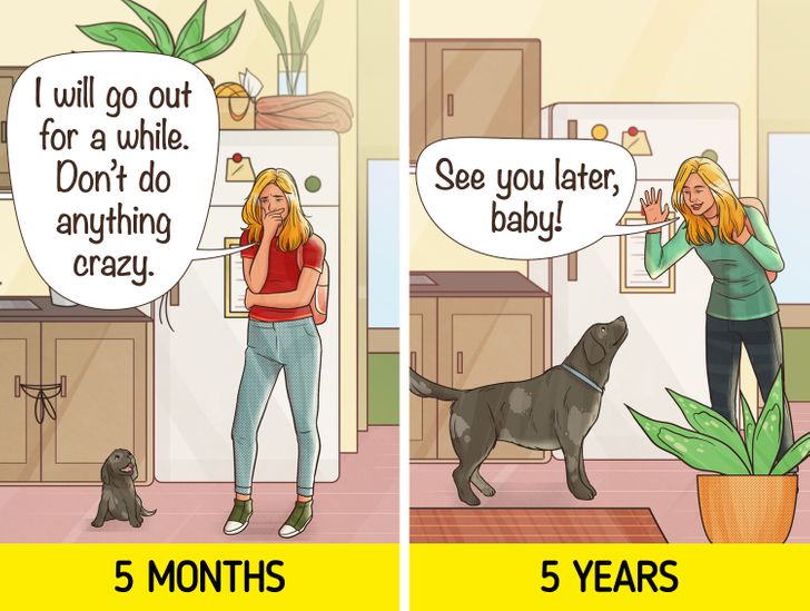 9c72b9528e854700865ebd0d8d 9c72b9528e854700865ebd0d8d