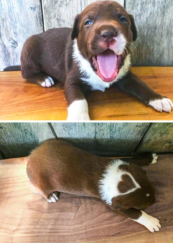 9c77085046b958e99cbc1694b5