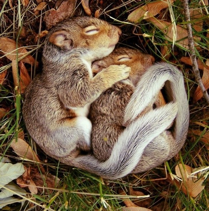 9c772f5a65b3b048debaa8a823