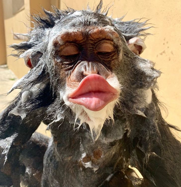 9c79795c94aeef816e91b14a41