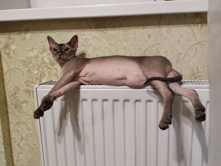 9c7fcf58e99204521393bf0b2f