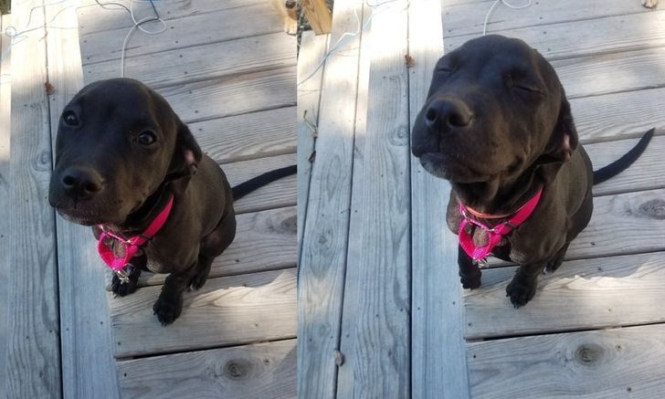 9c80365f1da9fe3bcb87cce0cb